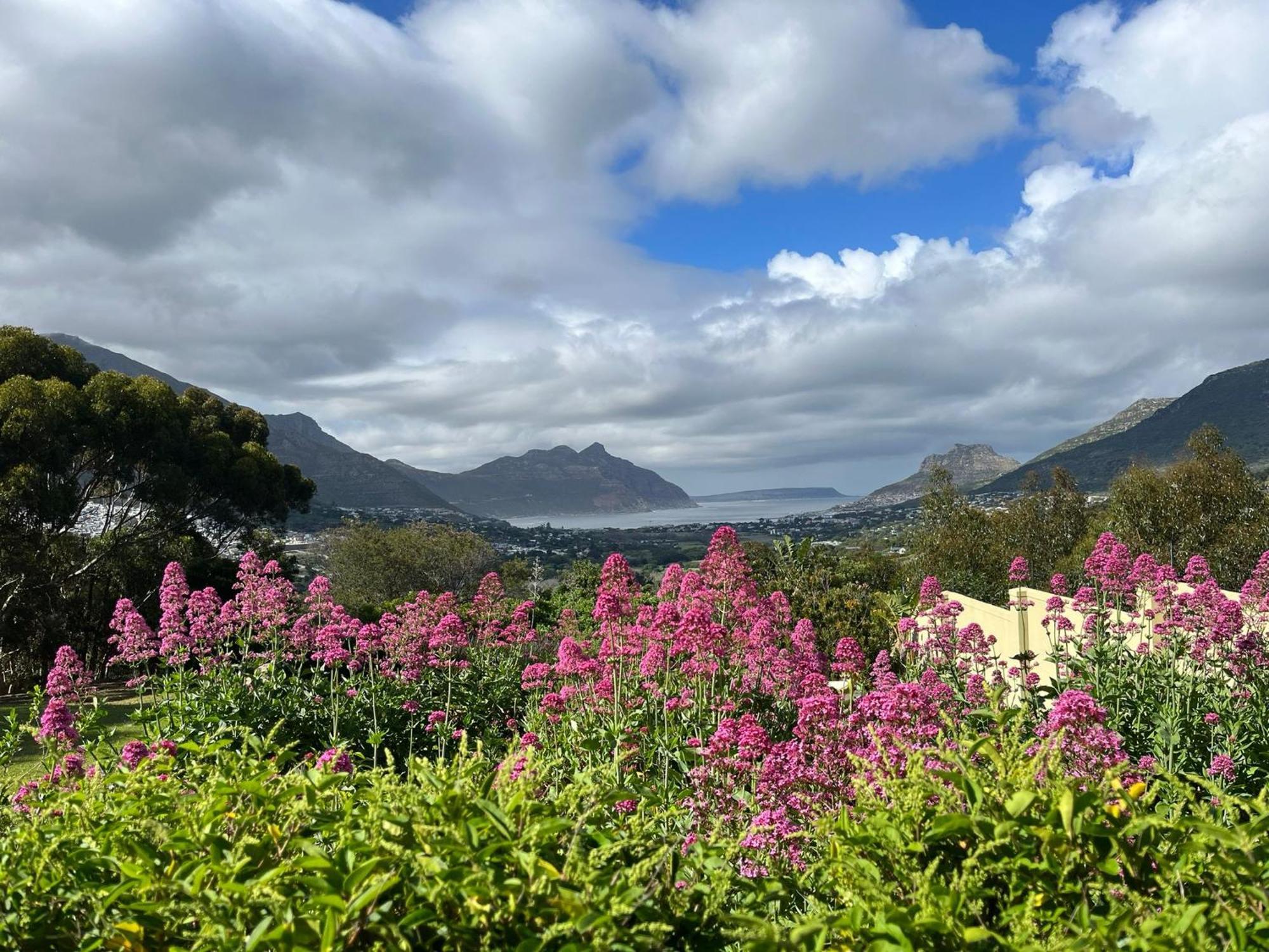 Pure Guest House Hout Bay Dış mekan fotoğraf