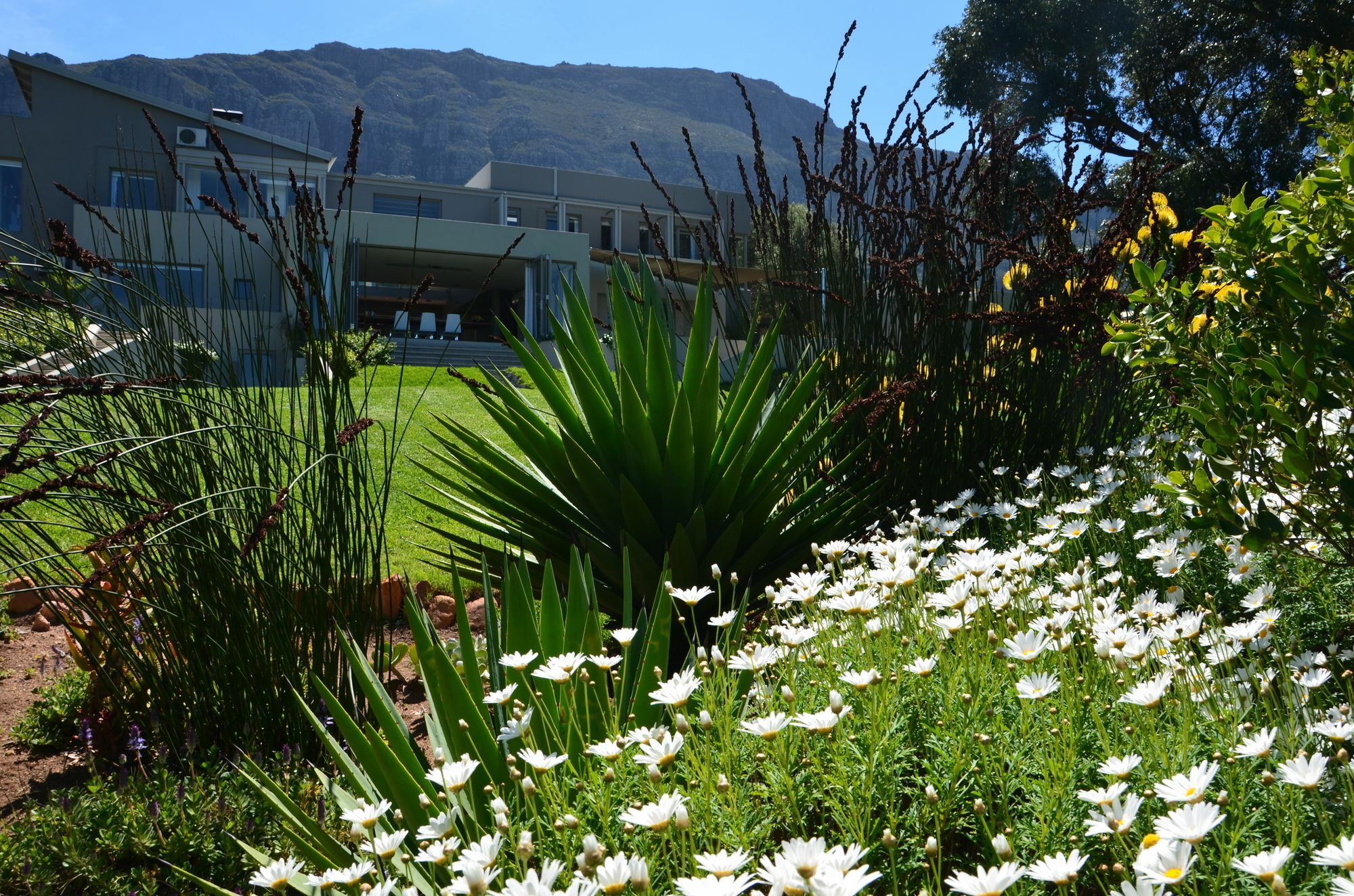 Pure Guest House Hout Bay Dış mekan fotoğraf